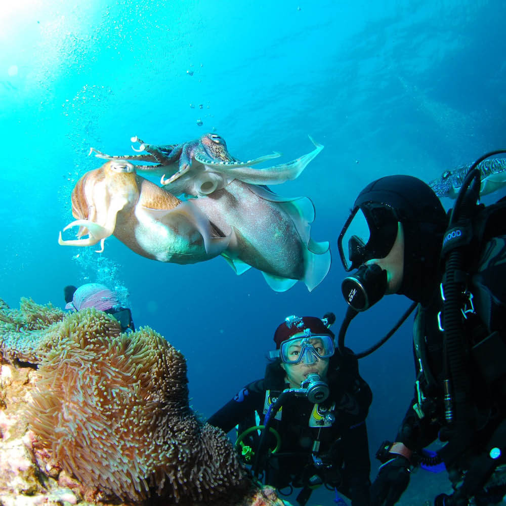 Prueba el buceo