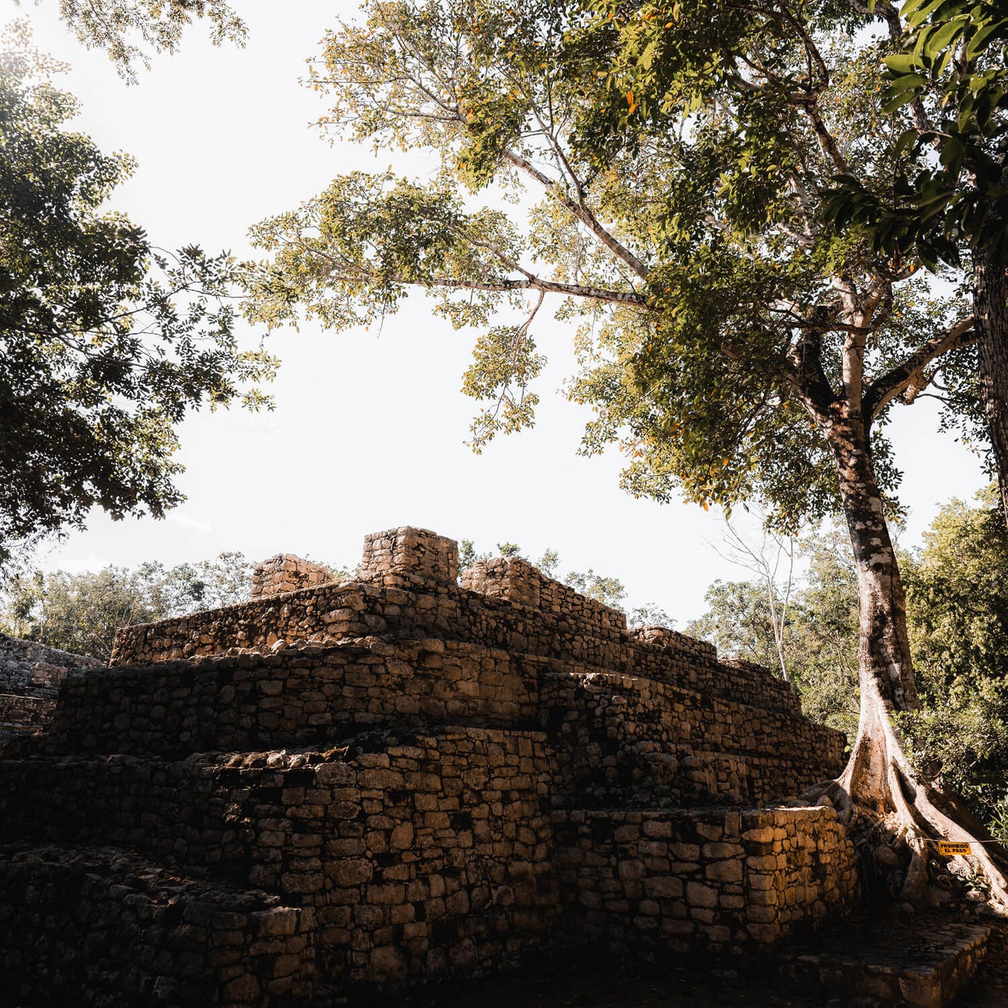 Templo de Cobá y Cenote