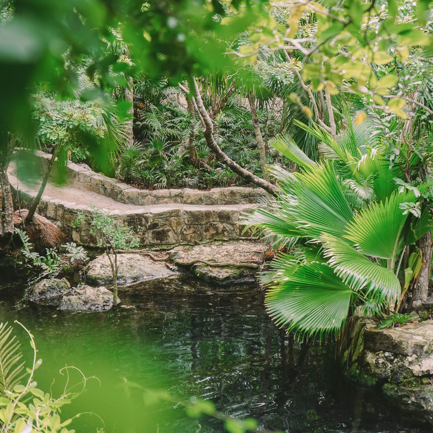 Templo de Cobá y Cenote