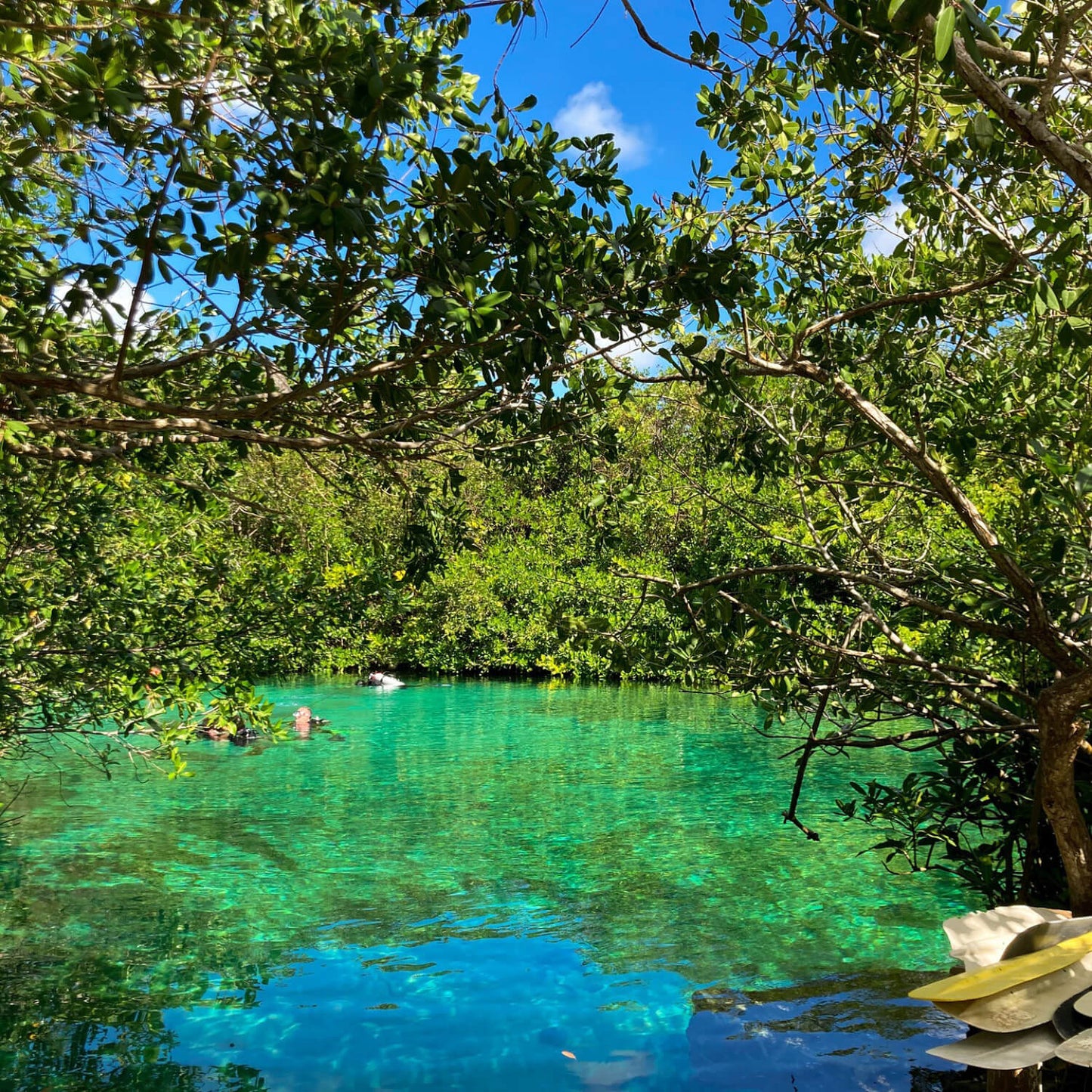 Templo de Cobá y Cenote