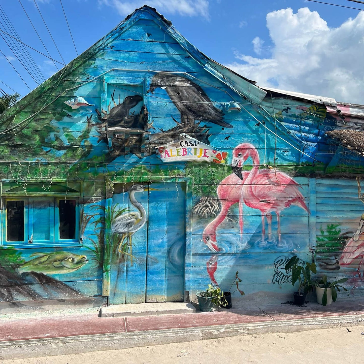 Isla Holbox - Tour