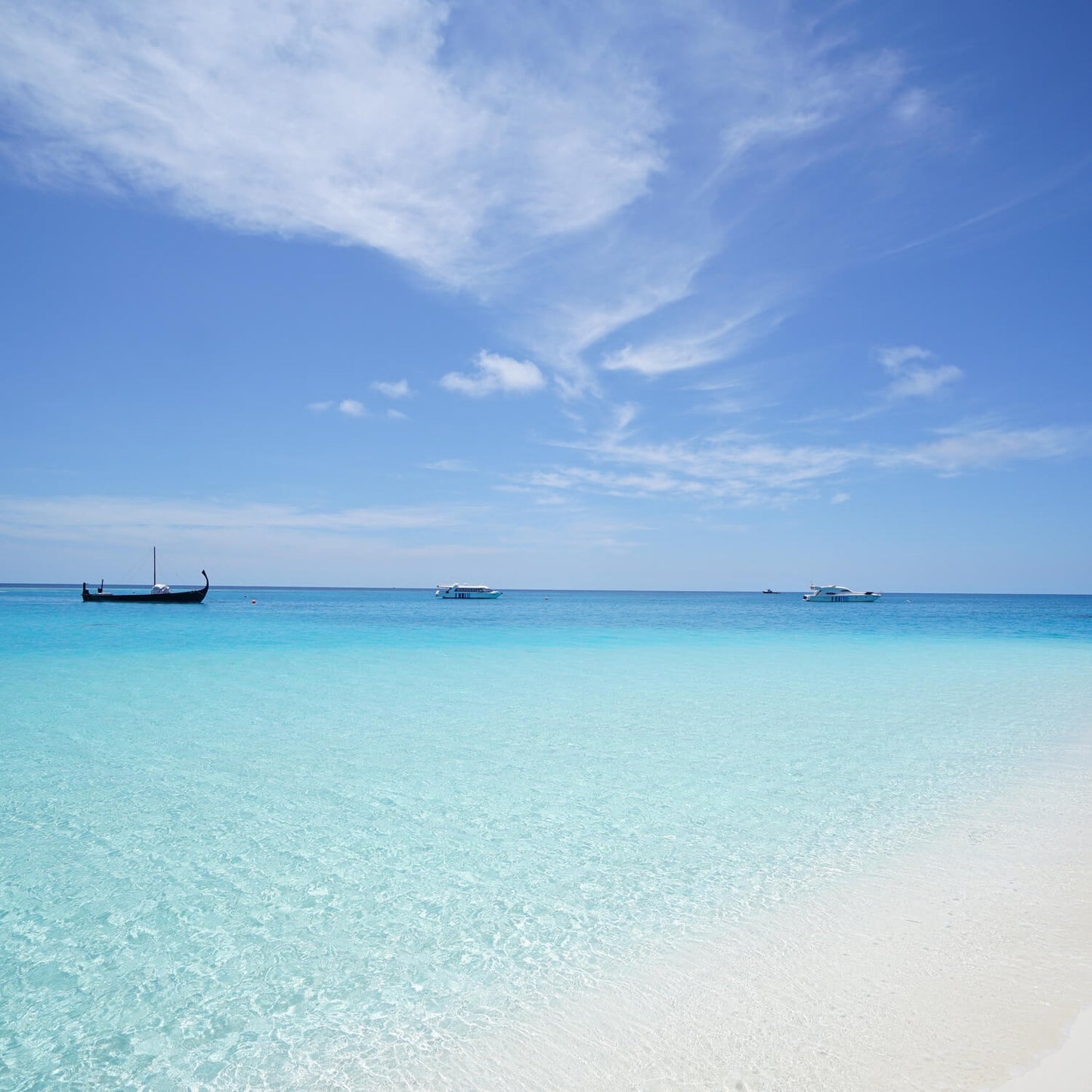 Isla Holbox - Tour