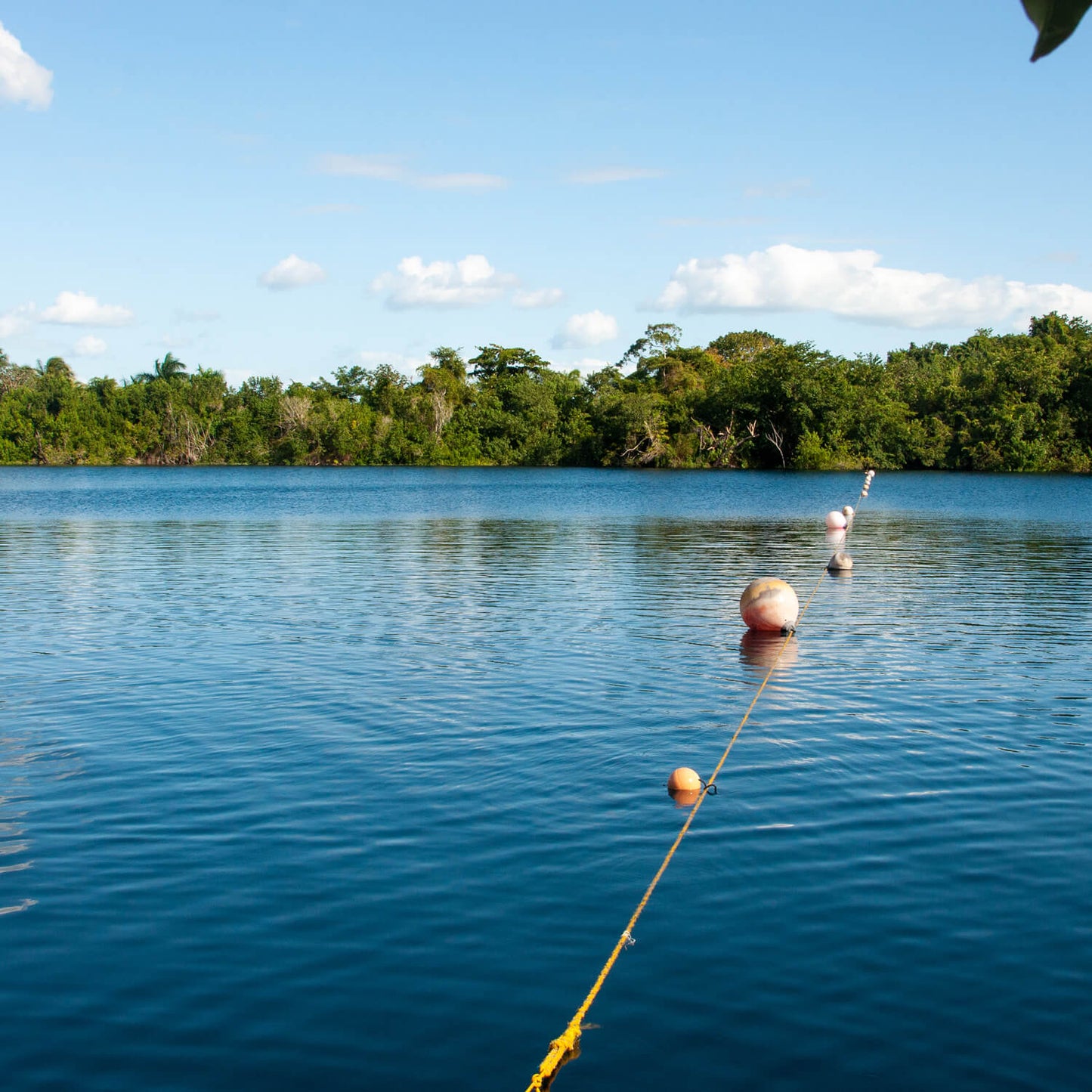Bacalar Lagoon & Cenote