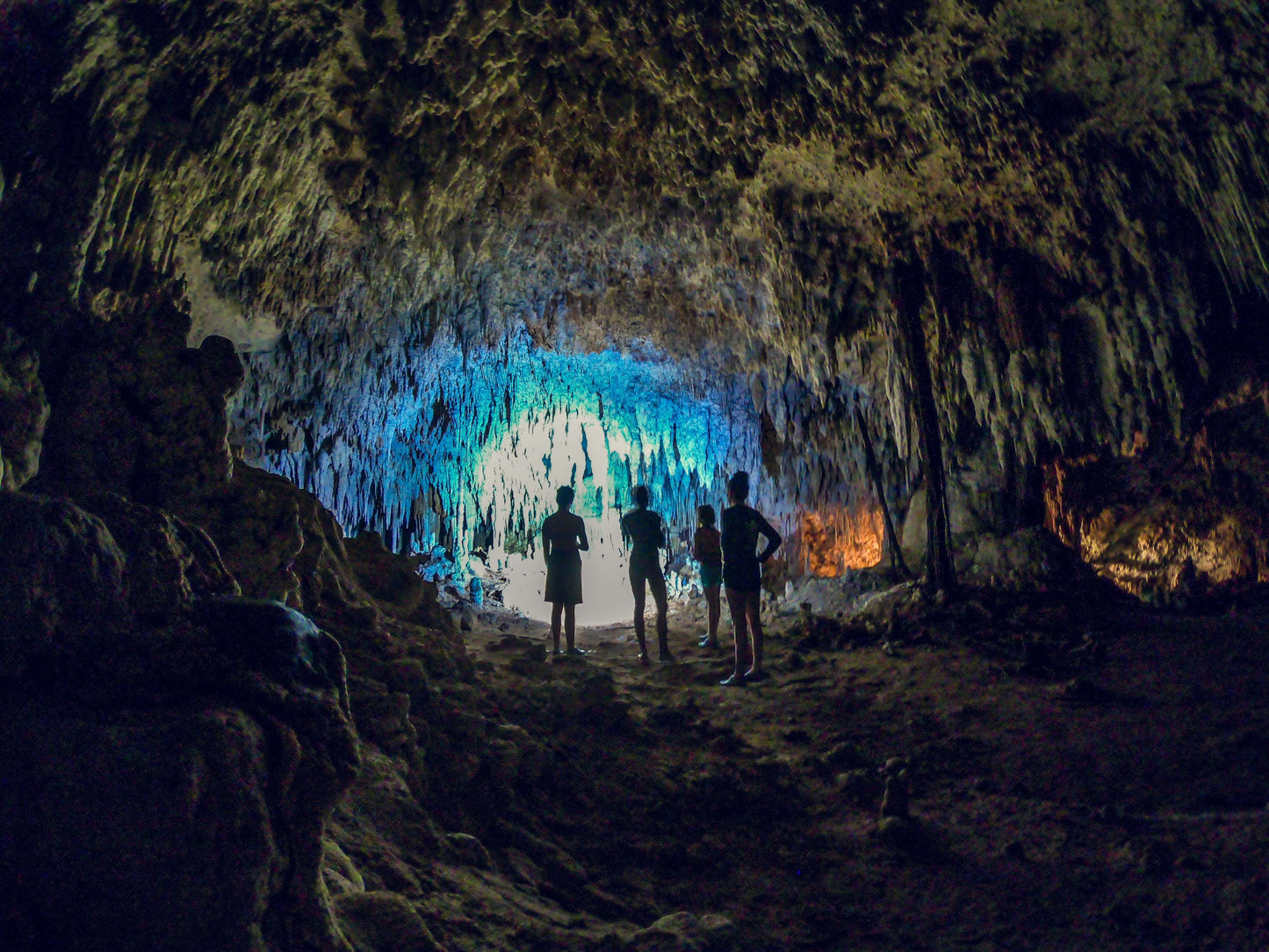 Snorkeling with turtles &amp; cenote