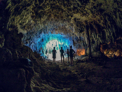 Snorkeling with turtles &amp; cenote