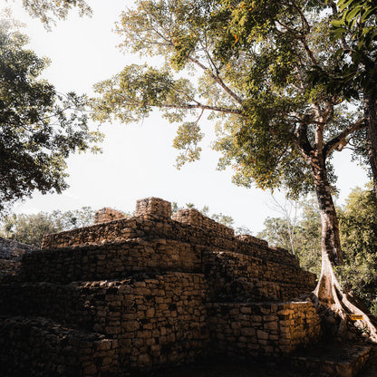 Templo de Cobá y Cenote