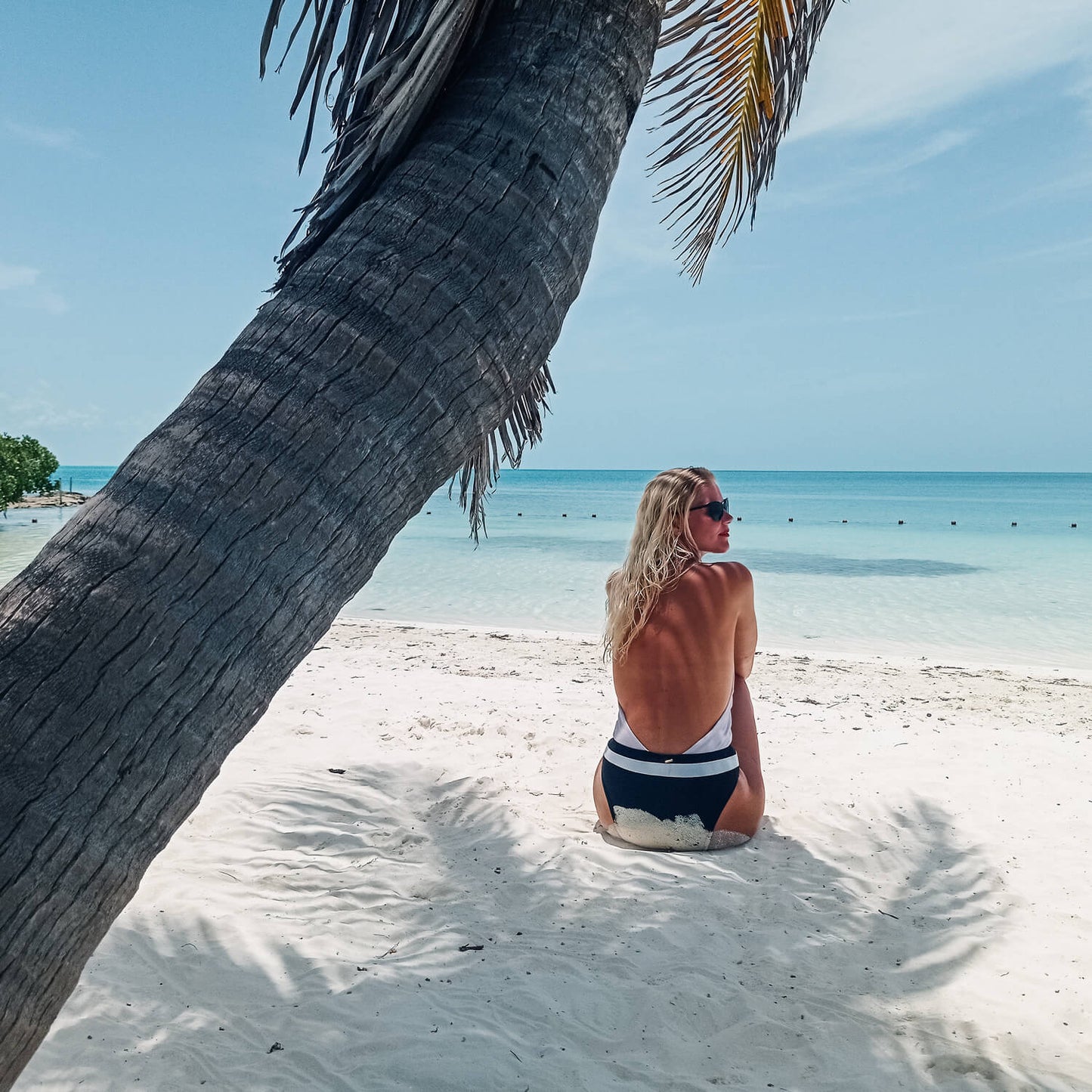 Tour Isla Contoy e Isla Mujeres