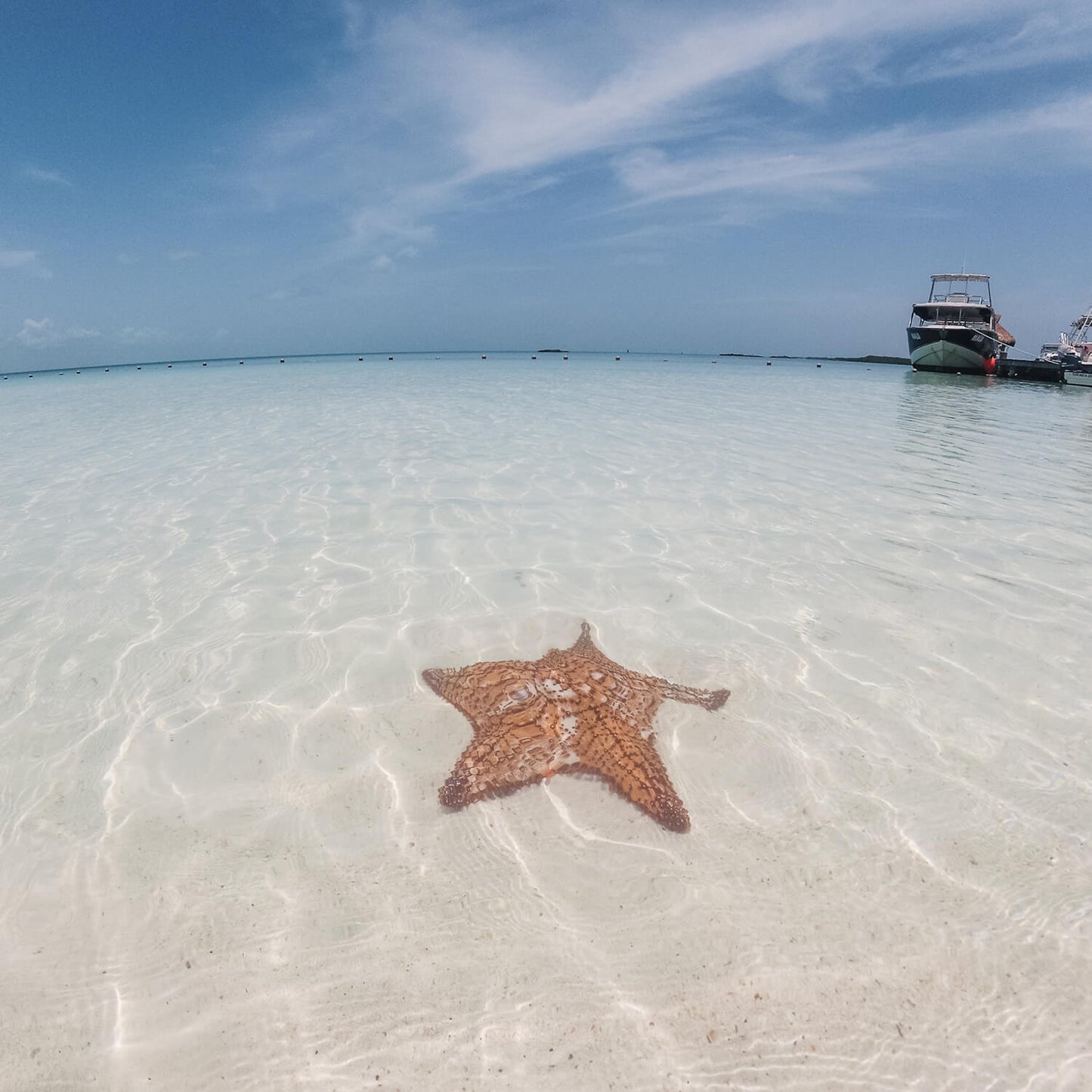 Tour Isla Contoy e Isla Mujeres