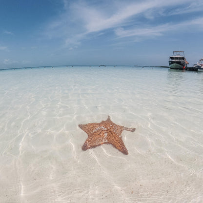 Tour Isla Contoy e Isla Mujeres