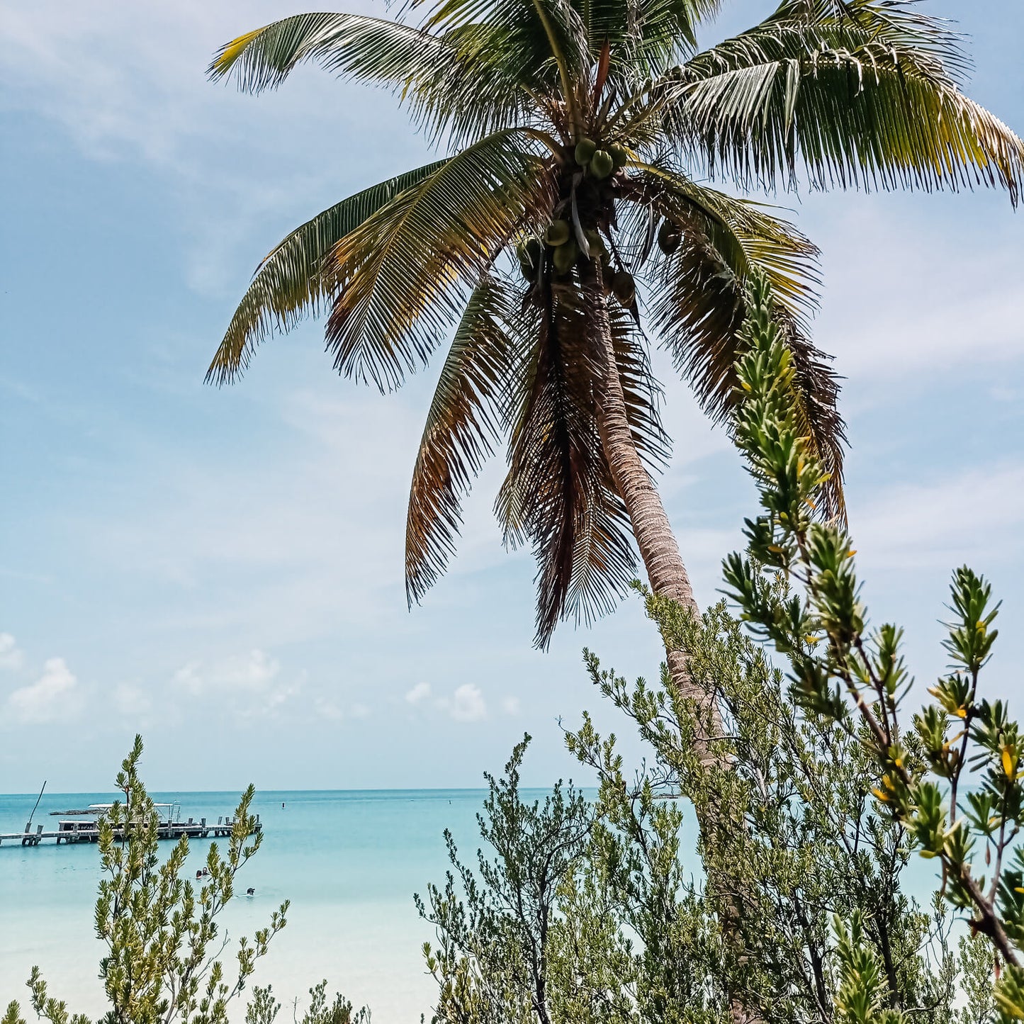 Tour Isla Contoy e Isla Mujeres