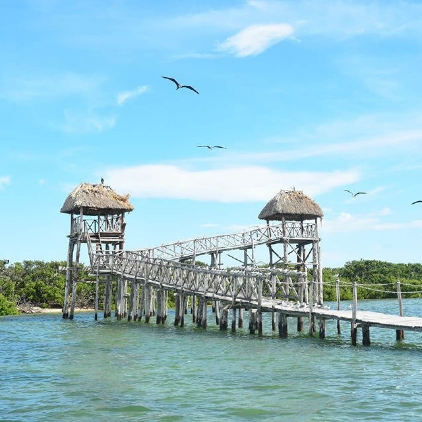 Tour a la Isla Holbox