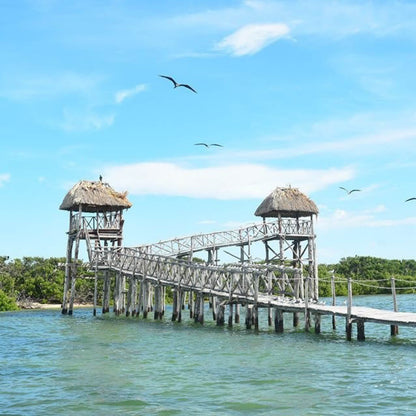 Tour a la Isla Holbox