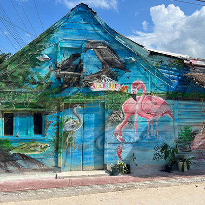 Tour a la Isla Holbox